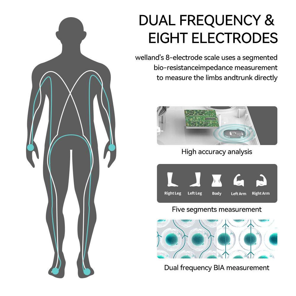 Smart 8 Elektrode lichaamsgewi - Digital Body Weight Scale recensie en prijs
